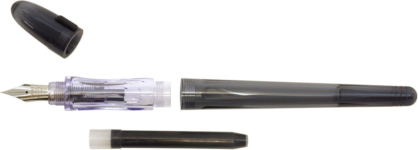 P-FP-60R-TPEF Fountain Pen, Fine Point, Clear Pink