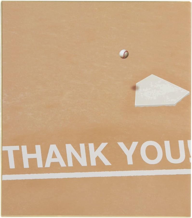 Midori 33166006 Colored Paper, Bi-Fold, Colored Paper, Baseball Field Pattern