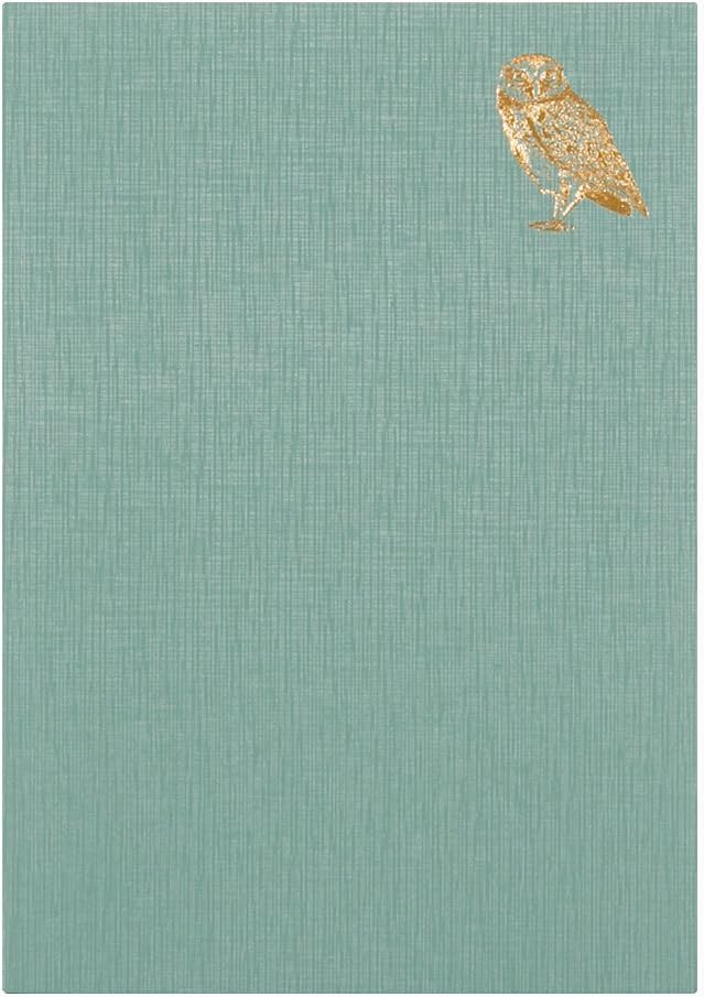 DESIGNPHIL Midori 12870006 Notebook Diary, Night A, Owl