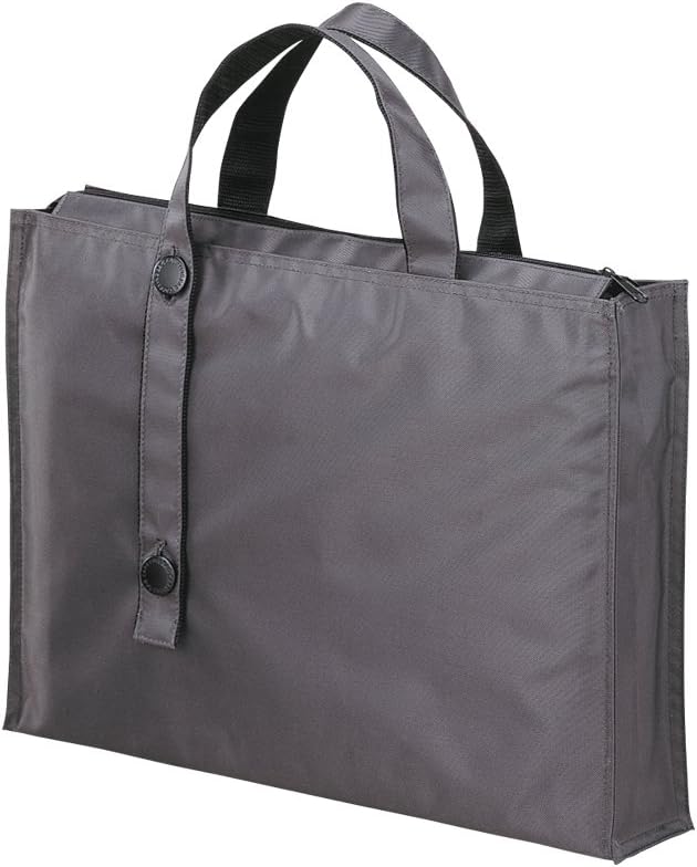 Lihit Lab Carrying Bag, Black, 11.8 x 15.7 Inches (A7651-24)