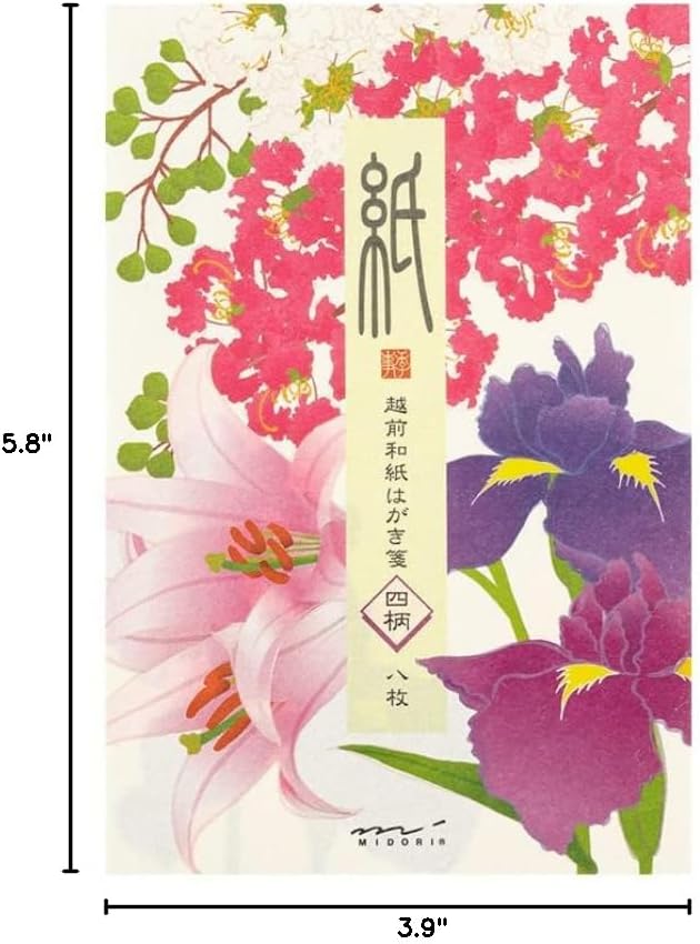 Midori 88686006 Postcard Notes, Paper Series, Summer Letter, 4 Patterns, Summer Floral Pattern