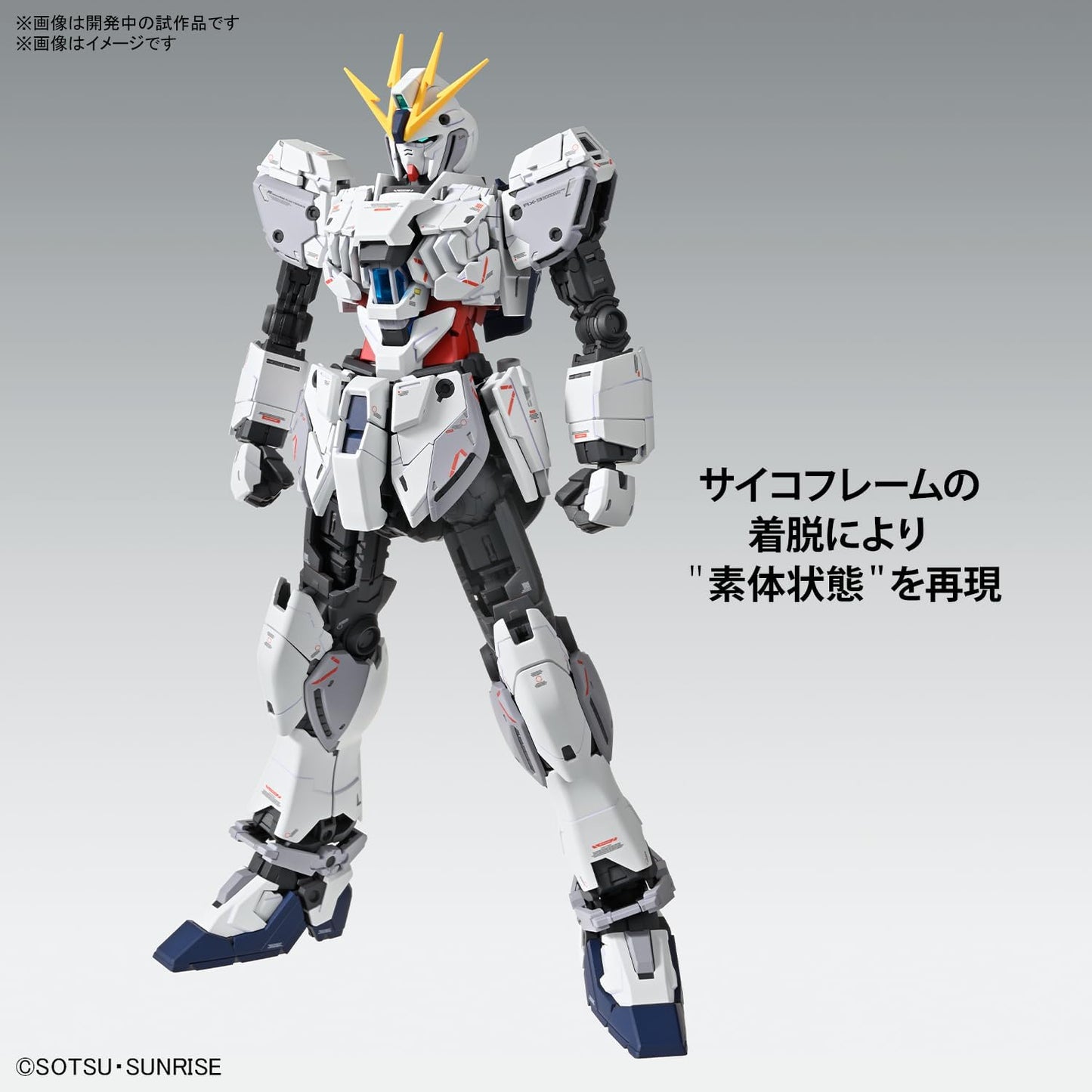 Bandai Hobby - Gundam NT - Narrative Gundam C-Packs ver. Ka, Bandai Spirits MG 1/100 Model Kit