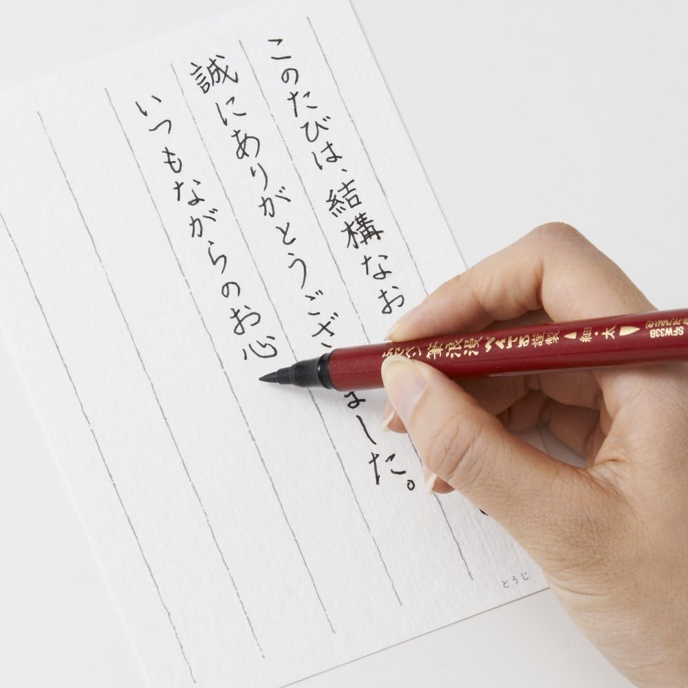 Pentel Brush Pen Fude Roman Twin XSFW33B – 10-Piece Set (Japan Import)