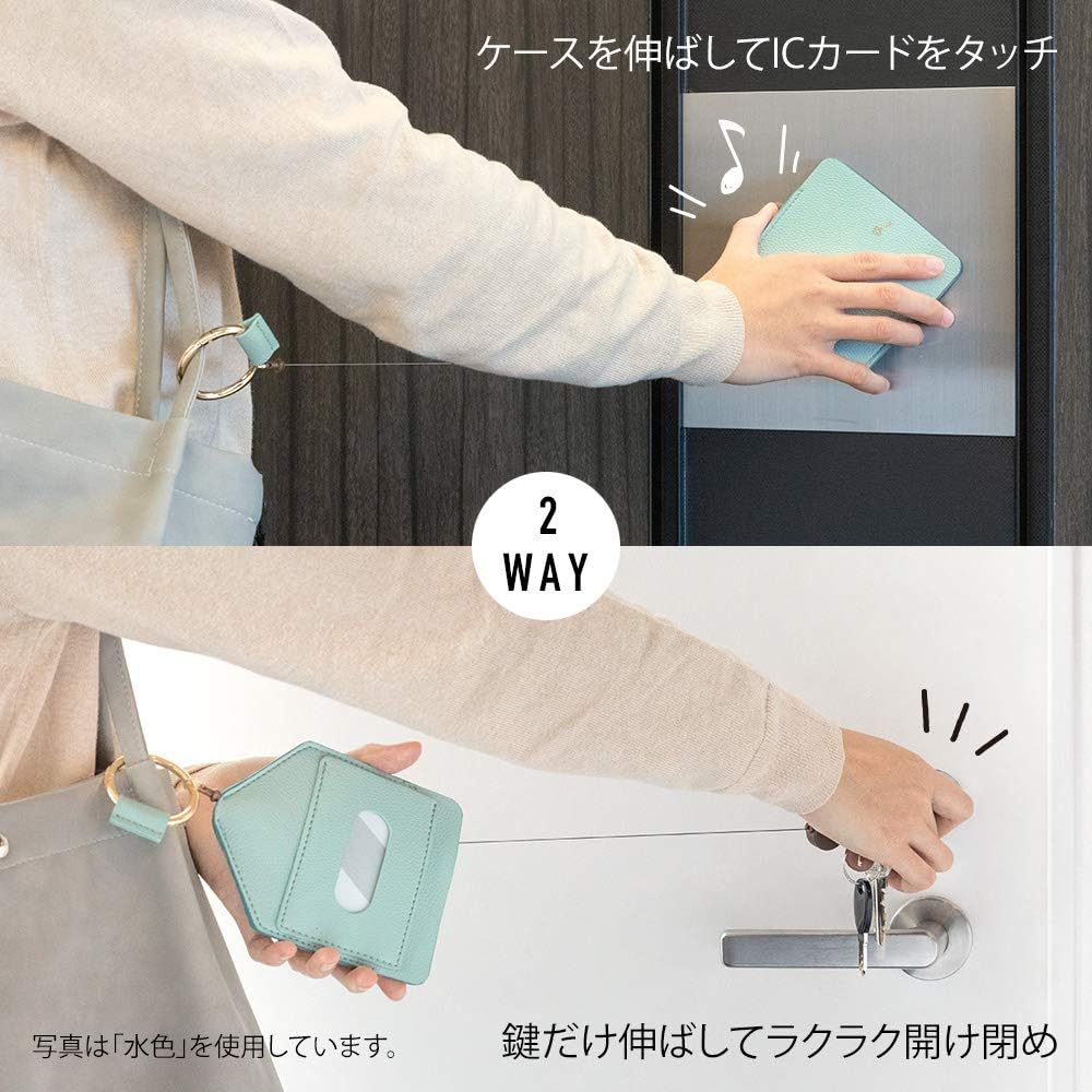 DESIGNPHIL 57462006 MIDORI Pass Case, Key & Pass Case, 2-Way Reel Included, Gold