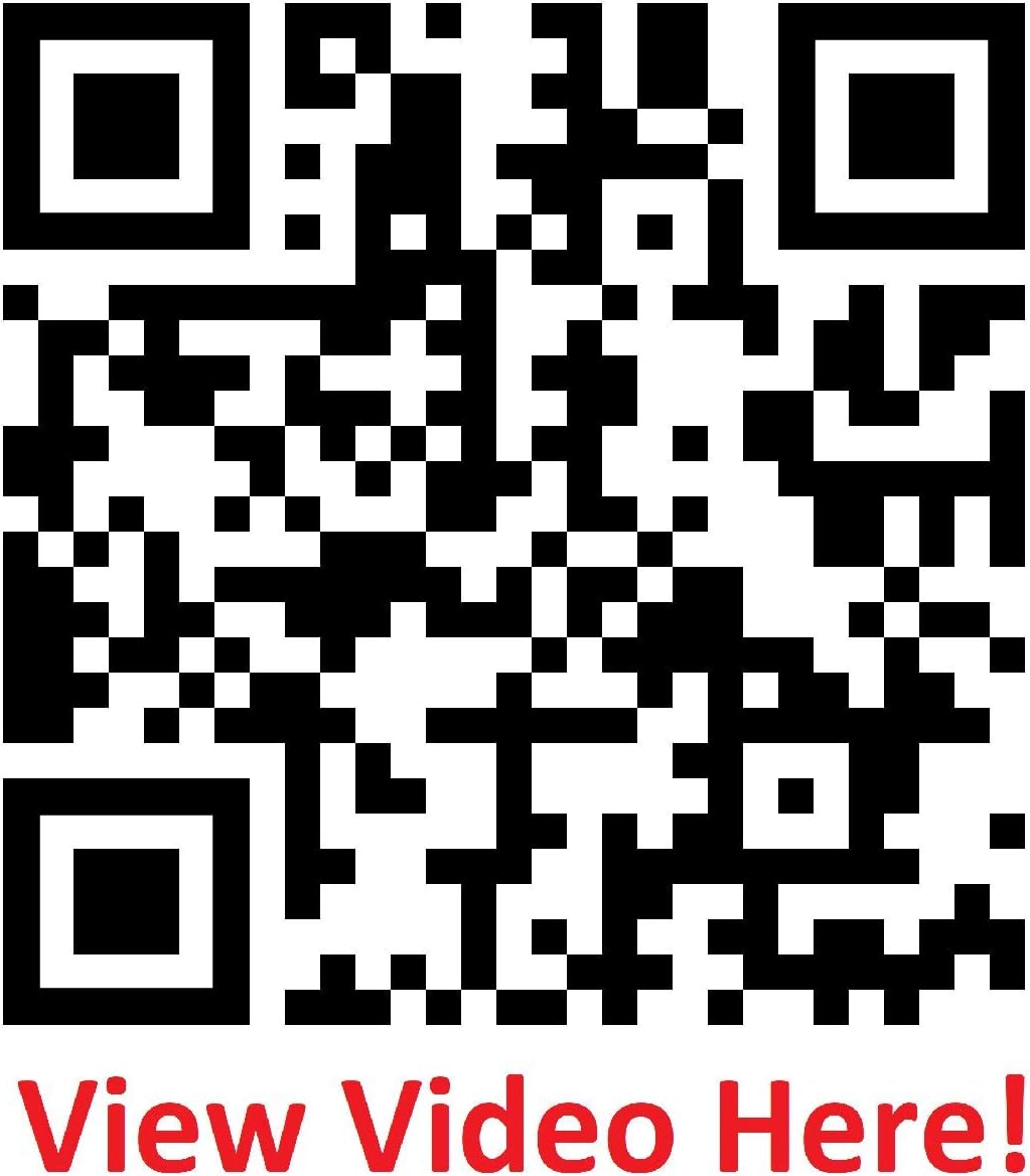 LIHITLAB PuniLabo Mini Zipper Pouch, Egg-Shaped, Black Cat (A7782-3), Medium