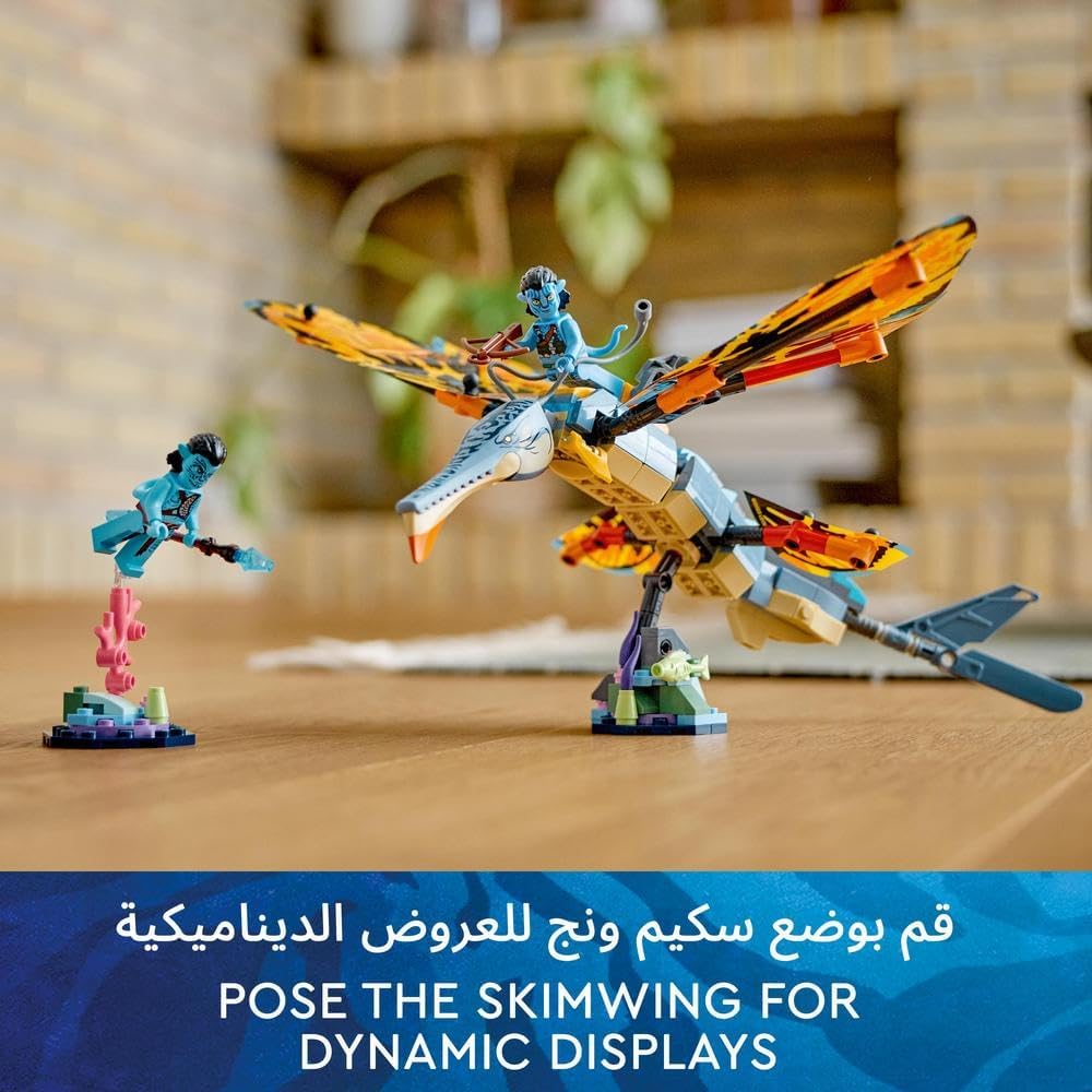 Skimwing Adventure