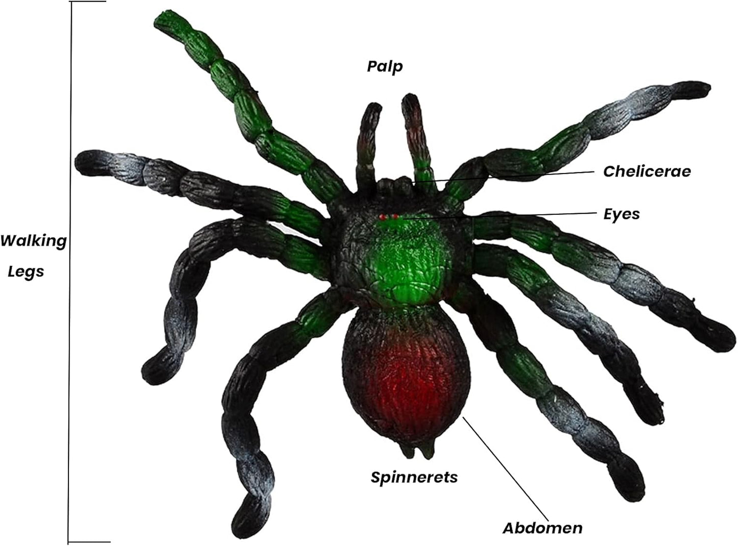 BOHS Rubber Jiggly Spider - Stretch & Squeeze - Realistic Big Soft Stretchy - Halloween Squishy Toy - Prank Bugs