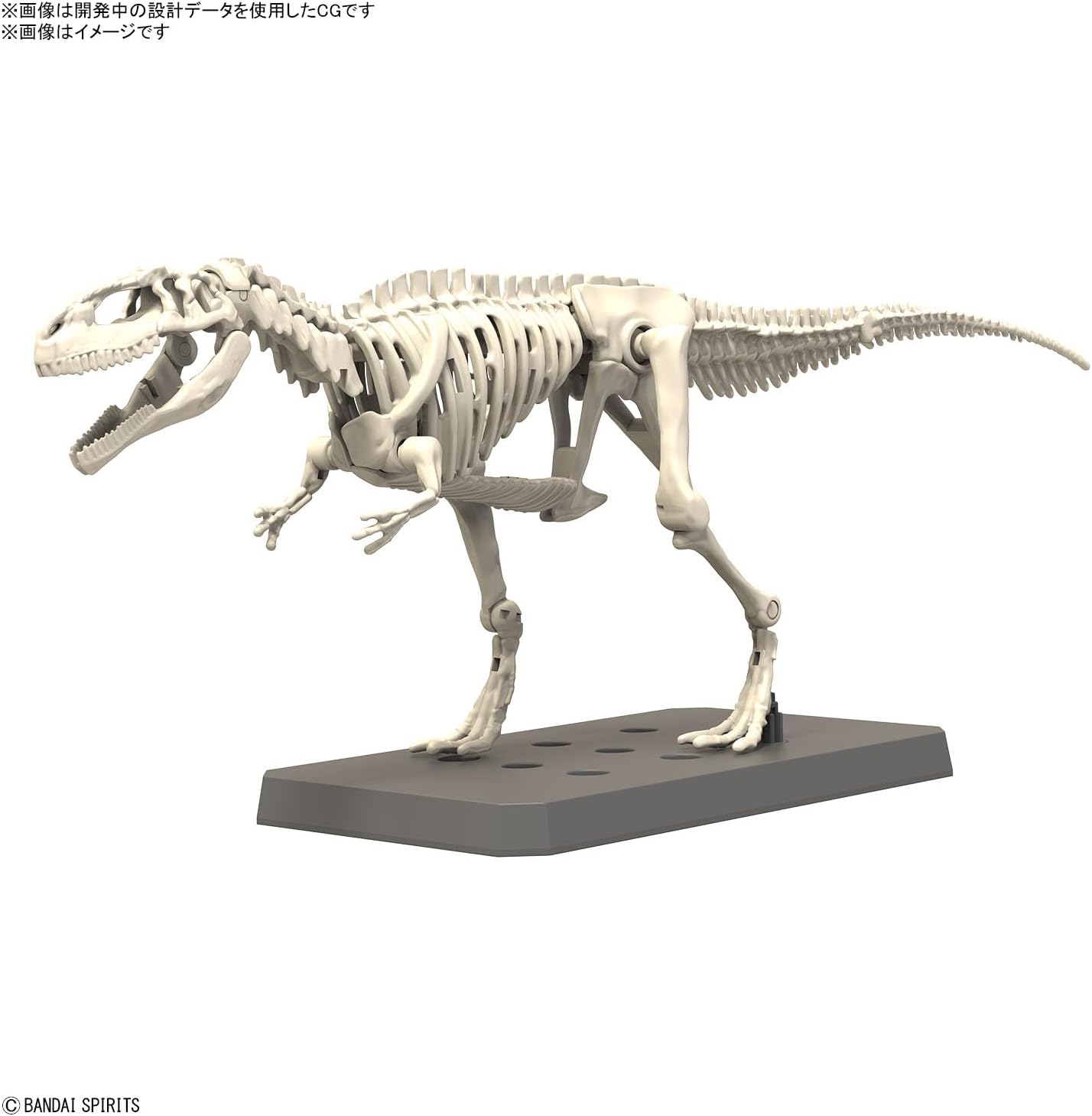 Bandai Hobby - Plannosaurus - #08 Giganotosaurus, Bandai Spirits Dinosaur Model Kit