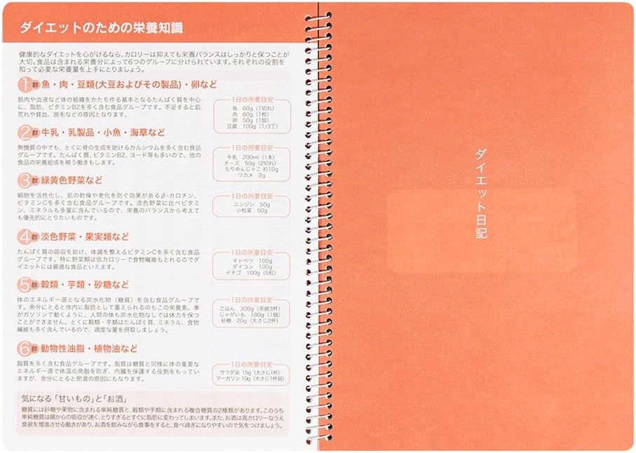 DESIGNPHIL Midori 26154006 Notebook HF Diary for 3 Months Diet A5