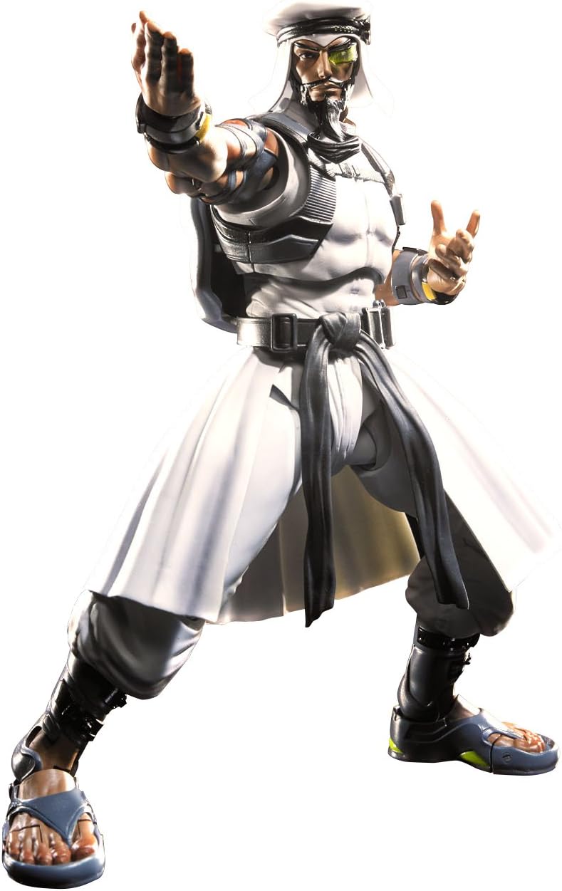 TAMASHII NATIONS Bandai S.H.Figuarts Rashid Street Fighter V Action Figure
