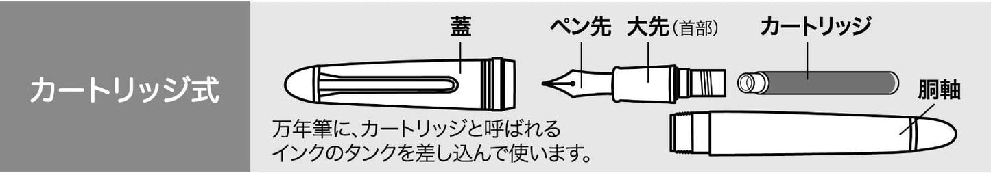 Sailor Pen fountain pen Promenade bold 11-1031-620 Black