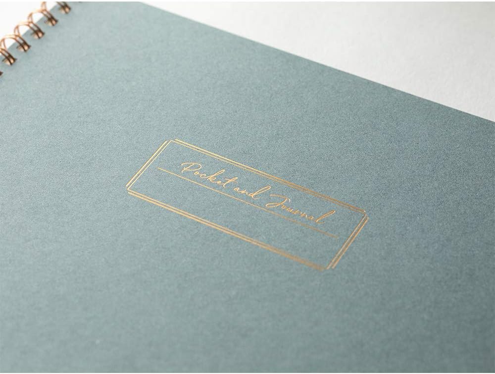 Kokuyo 20-Pocket Binder with Sleeves – A4 & US Letter Art Portfolio Folder, 40 Pages, Blue (RA-N20B)