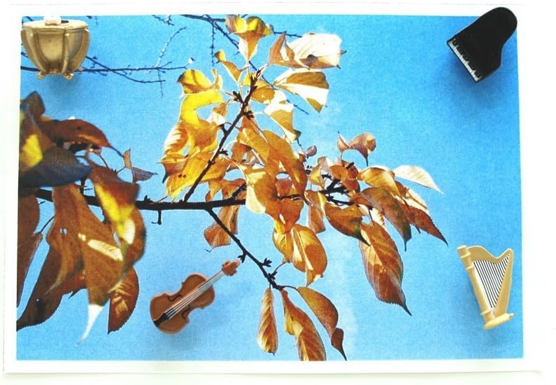 Midori 49874006 Magnetic Mini Orchestra A, Pack of 6