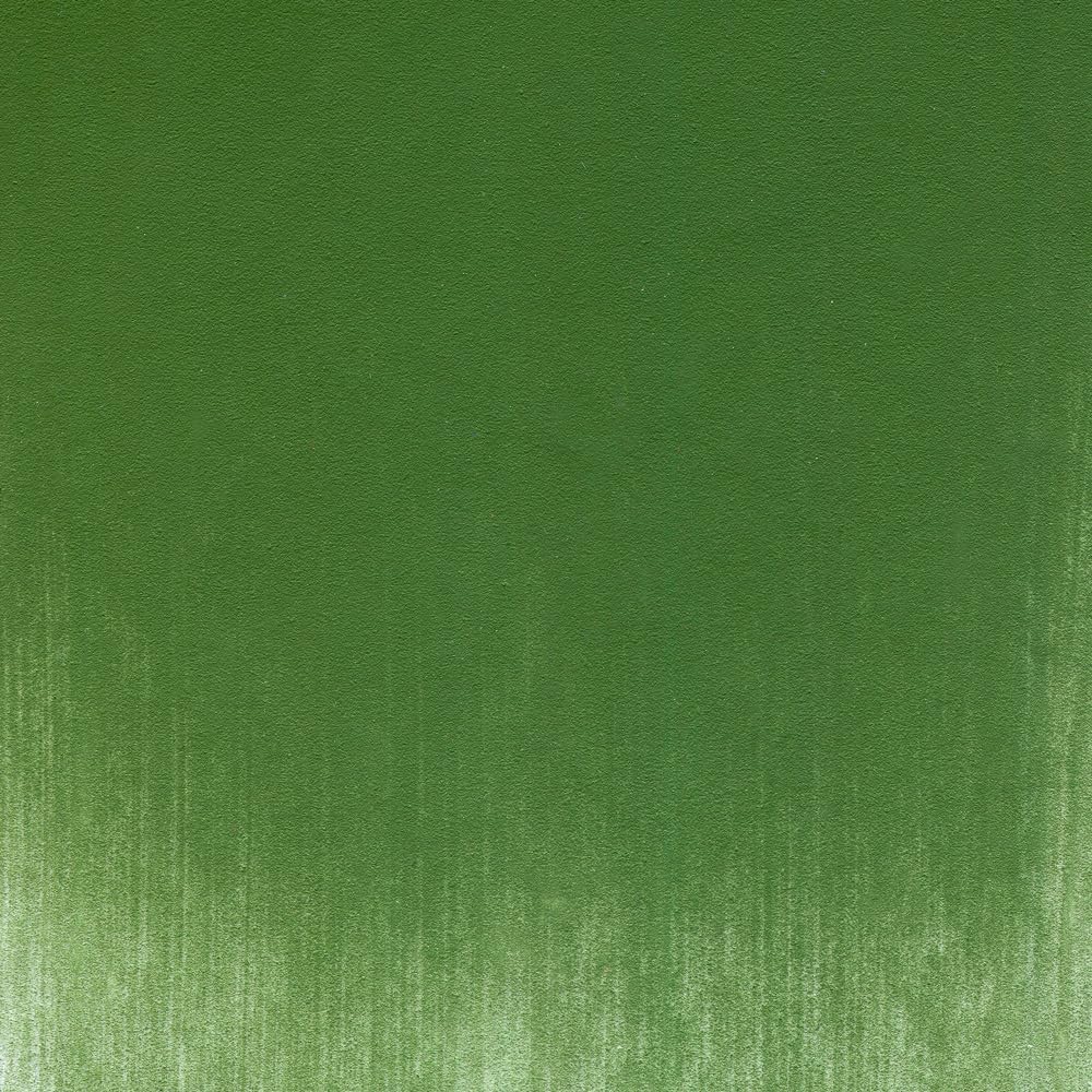 PanPastel Artist Pastels by GOLDEN, Chromium Oxide Green, 2.44??� / 62mm Pan Diameter, Professional Artist Pastels, Unique Pan Format (cake-like)