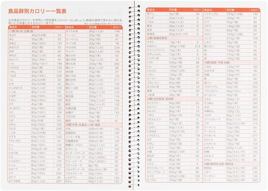 DESIGNPHIL Midori 26154006 Notebook HF Diary for 3 Months Diet A5