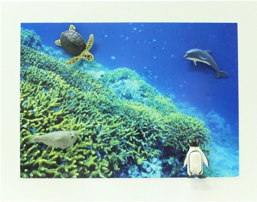 Midori Mini Magnet, Aquarium (49759006), Assorted