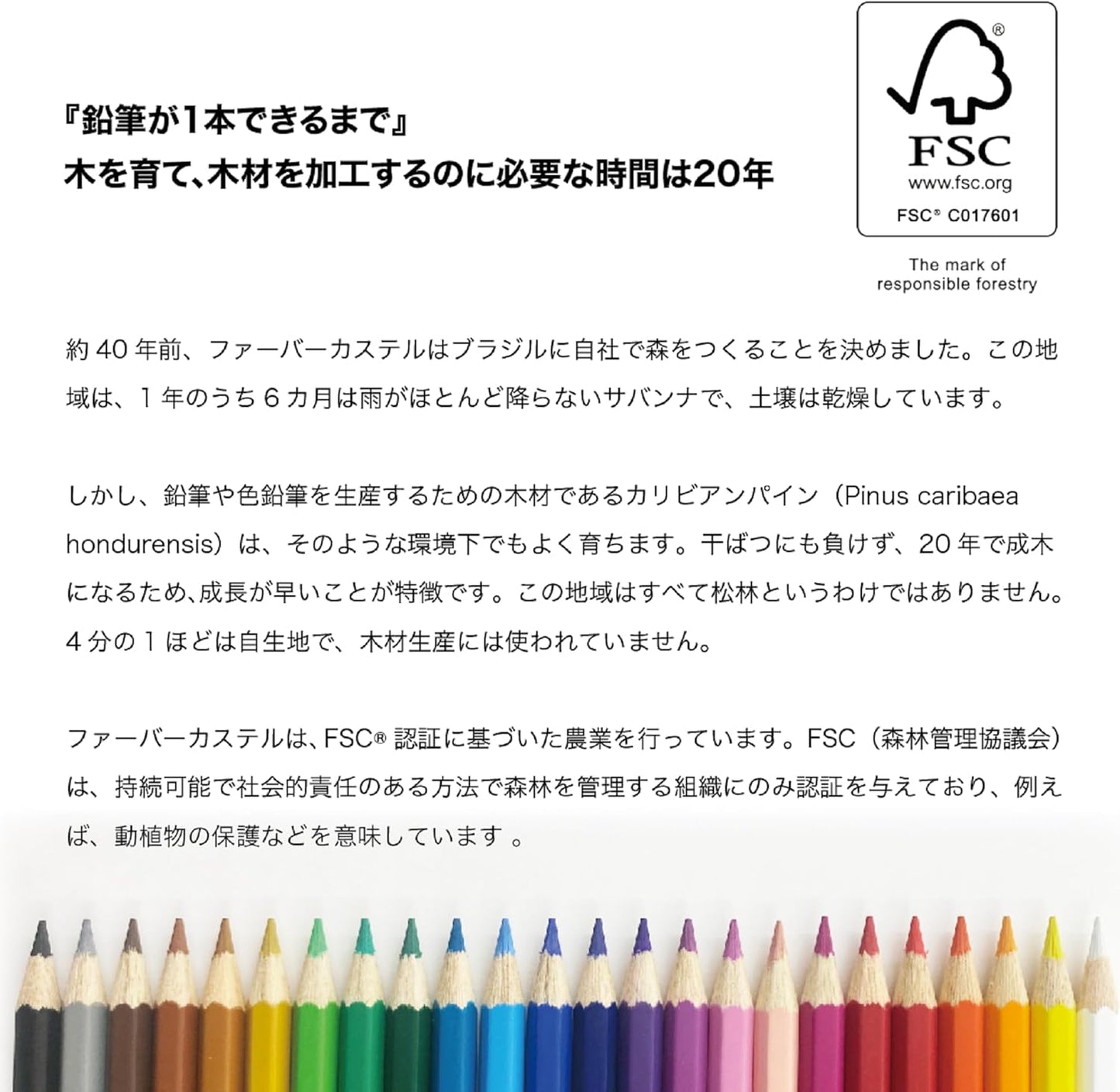 Faber Castell TFC-CP/36C Oil-based Colored Pencils, Flat Can, 36 Color Set