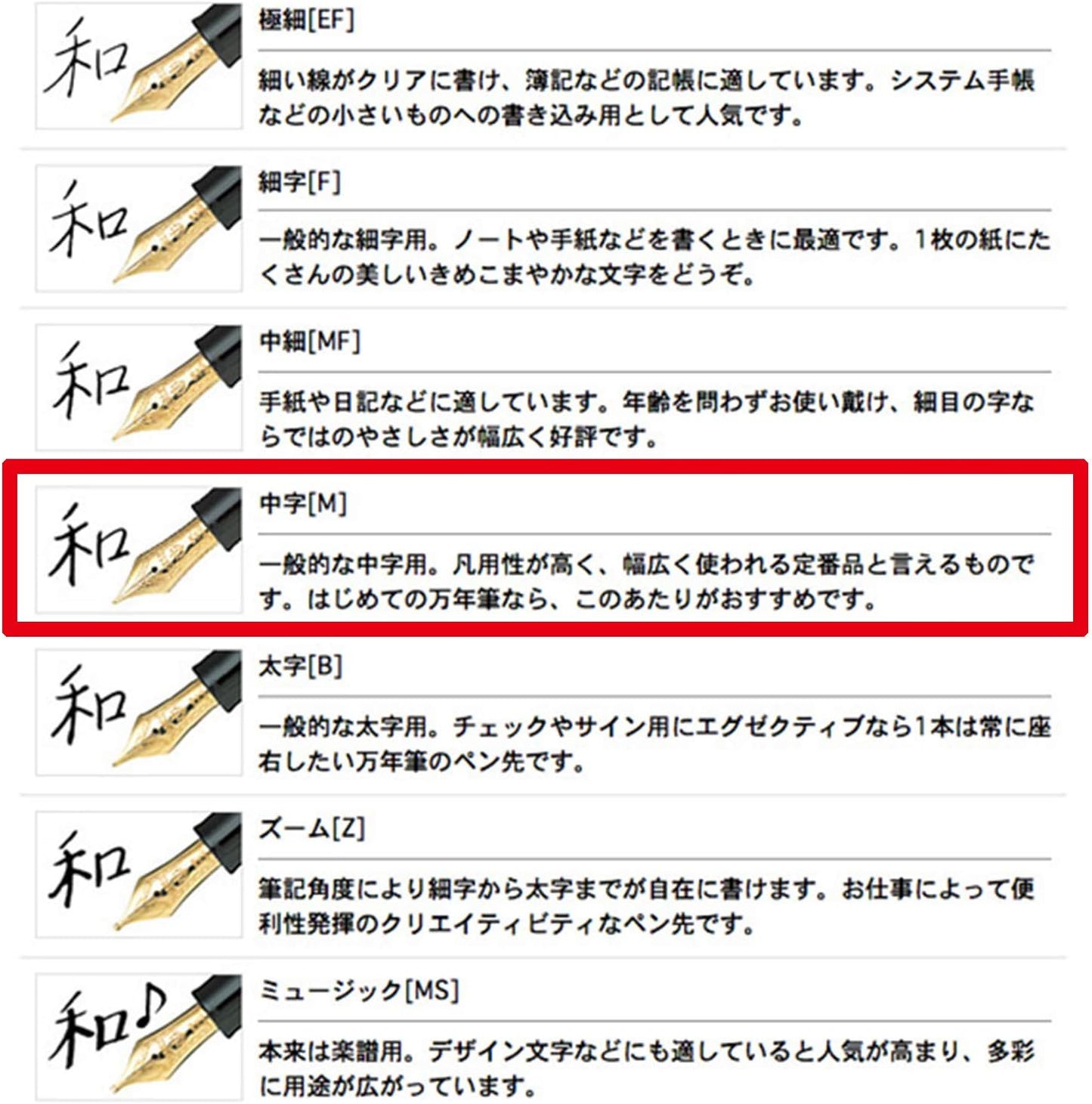 Sailor Fountain Pen Profit 21 M Medium 11-2021-420 Black 11-2021-420 (Japan Import)