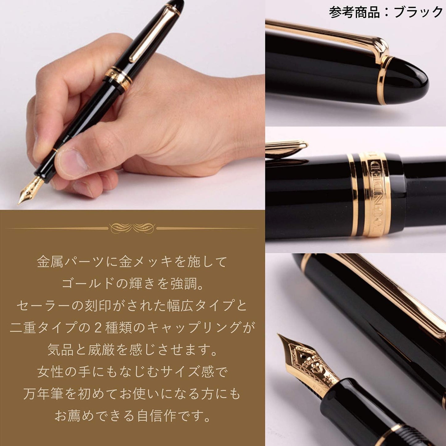 Sailor Profit Standard 21 Fountain Pen Zoom Nib Black