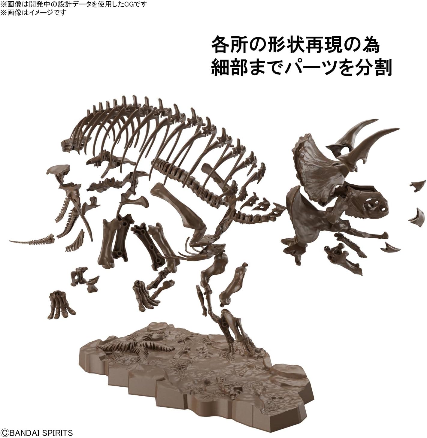 Bandai Hobby - Dinosaur - Triceratops, Bandai Spirits Imaginary Skeleton 1/32 Model Kit