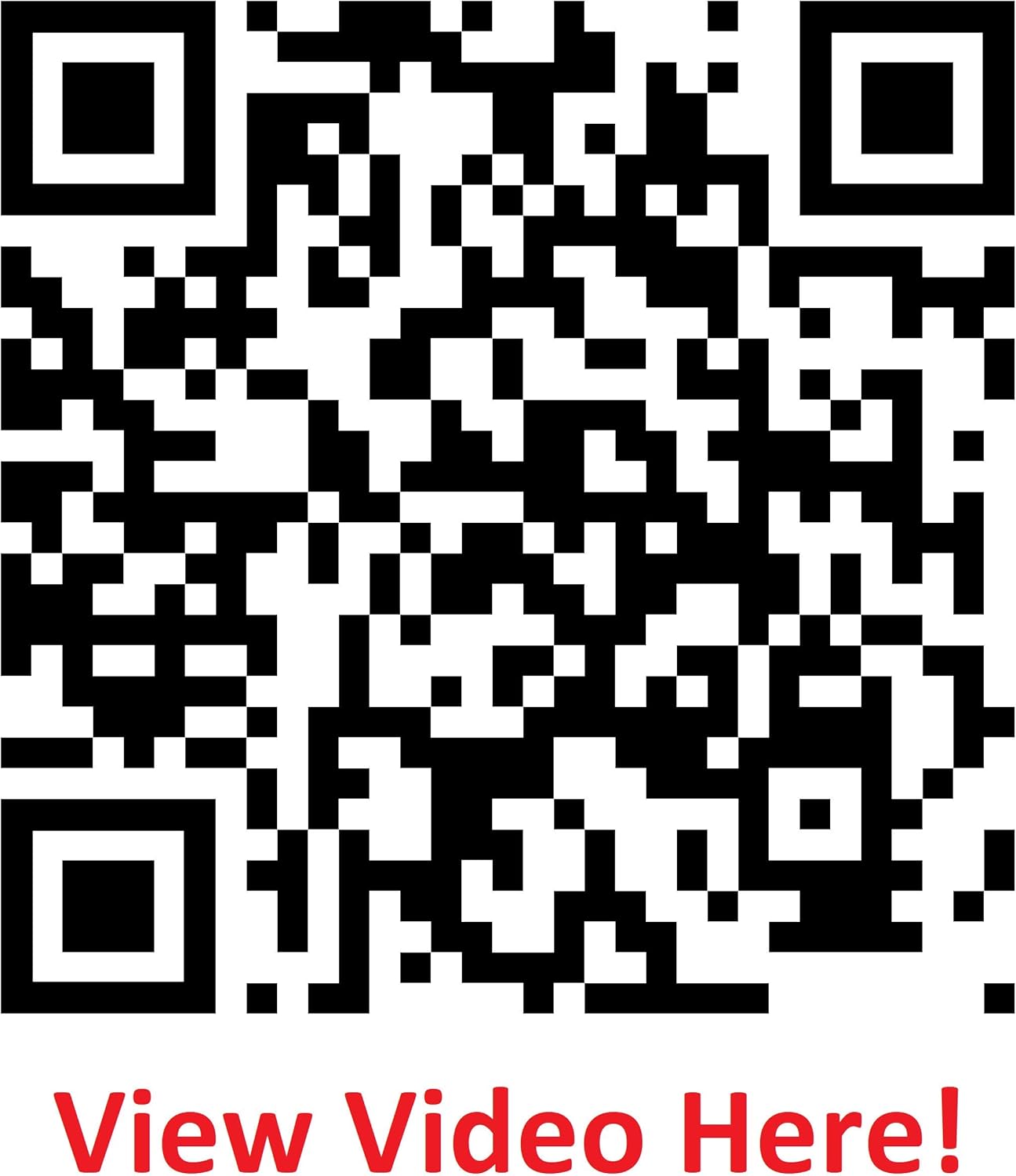 LIHITLAB PuniLab Book Band with Pen Case Holder, 2.1" � 0.8", Shiba Dog (A7720-2)