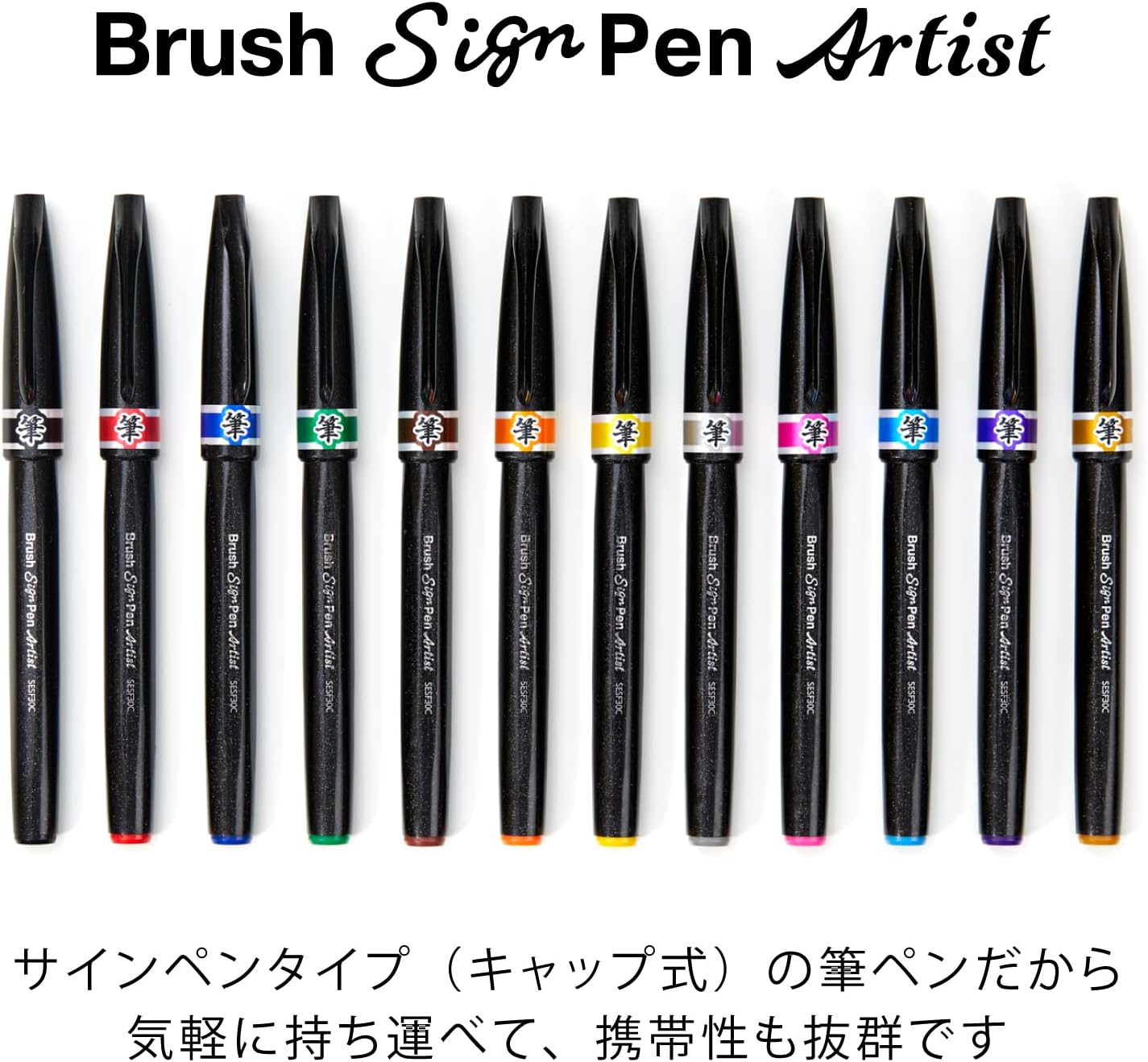Pentel AMZ-SESF30C-12 Blush Sign Pen Artist Brush Pen, Set of 12 Colors