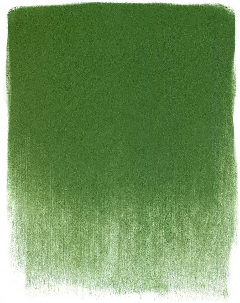 PanPastel Artist Pastels by GOLDEN, Chromium Oxide Green, 2.44??� / 62mm Pan Diameter, Professional Artist Pastels, Unique Pan Format (cake-like)