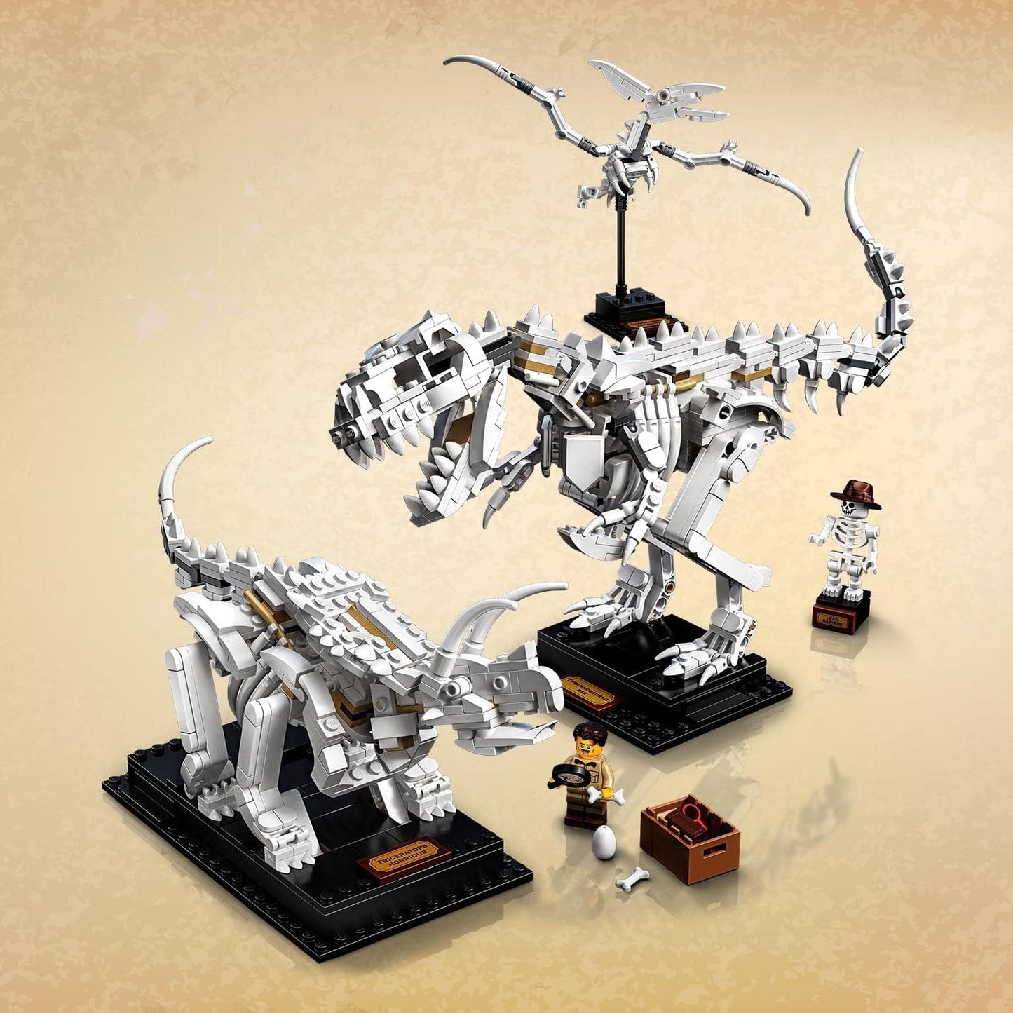 LEGO Ideas Dinosaur Fossils Collector's Model 21320 Natural History Museum Display;Building Toy