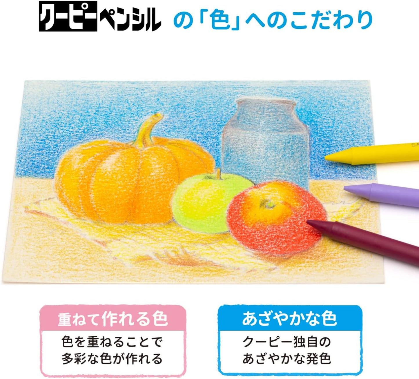 Sakura Color 24 Color Kupi Pencil (Canned) FY24 (Japan Import)