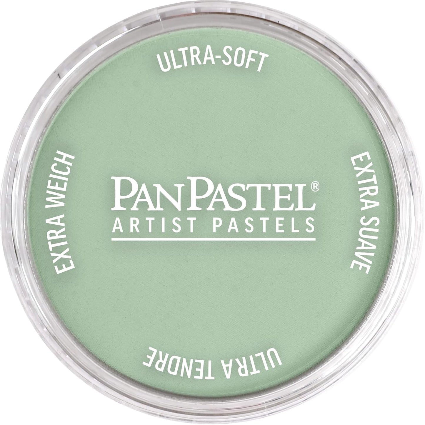 PanPastel Artist Pastels by GOLDEN, Chromium Oxide Green Tint, 2.44 / 62mm Pan Diameter, Professional Artist Pastels, Unique Pan Format (cake-like)