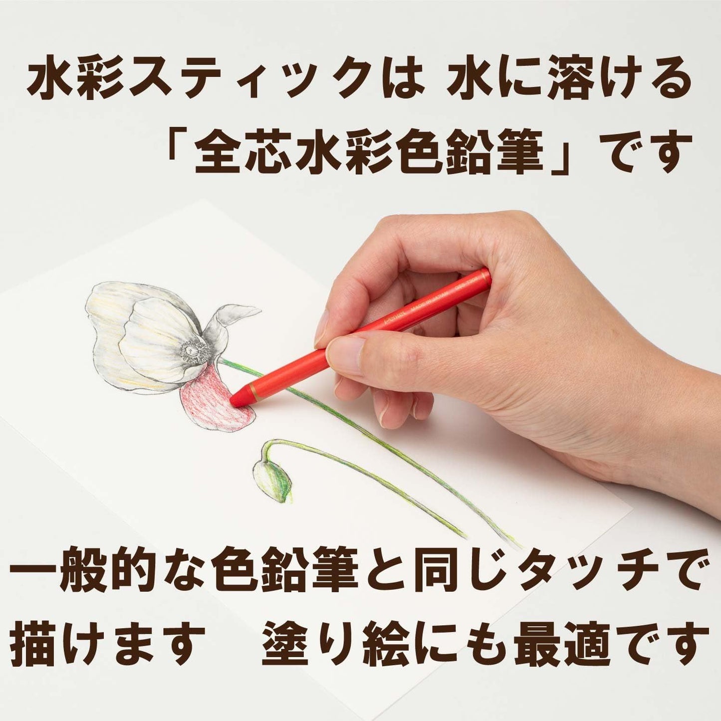 Pentel GSS1-12MN Whole Lead Colored Pencil, Watercolor Stick, 12 Colors, Midnight Mix