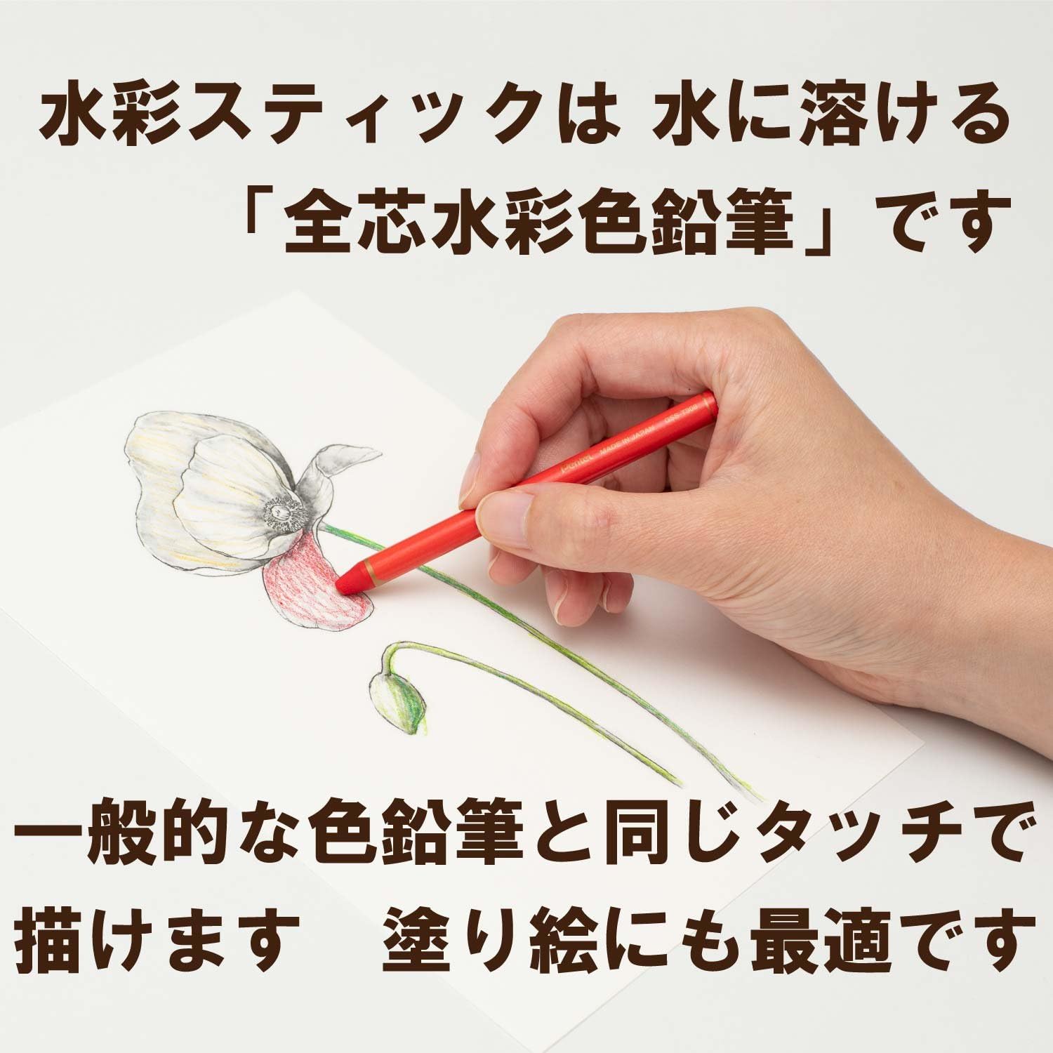 Pentel Watercolor Pencils – 12 Standard Mix Colors (GSS1-12ST)