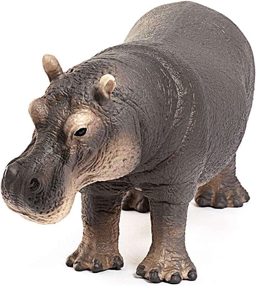 Schleich Wild Life Realistic Detailed Hippopotamus Figurine - Wild Hippo Figurine Toy for Play and Education, Highly Durable and Detailed, for Boys and Girls, Gift for Kids Ages 3+