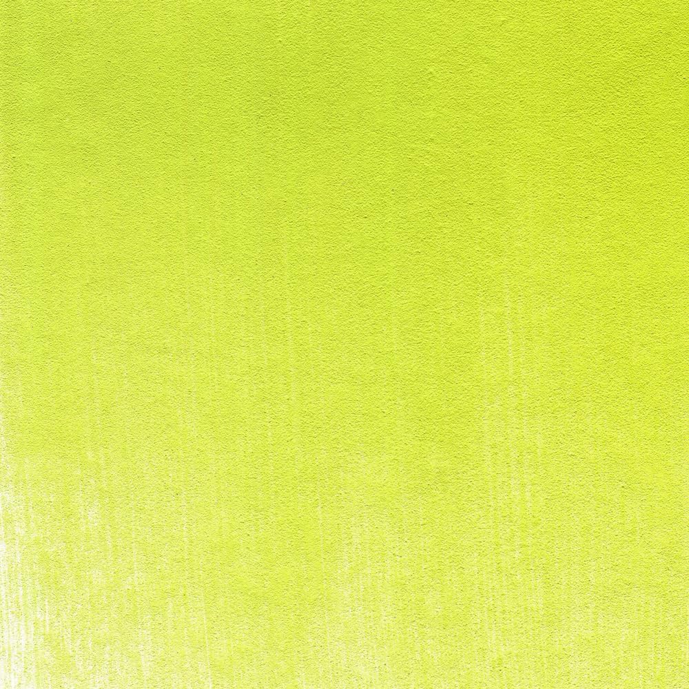 PanPastel Artist Pastels by GOLDEN, Bright Yellow Green, 2.44??� / 62mm Pan Diameter, Professional Artist Pastels, Unique Pan Format (cake-like)