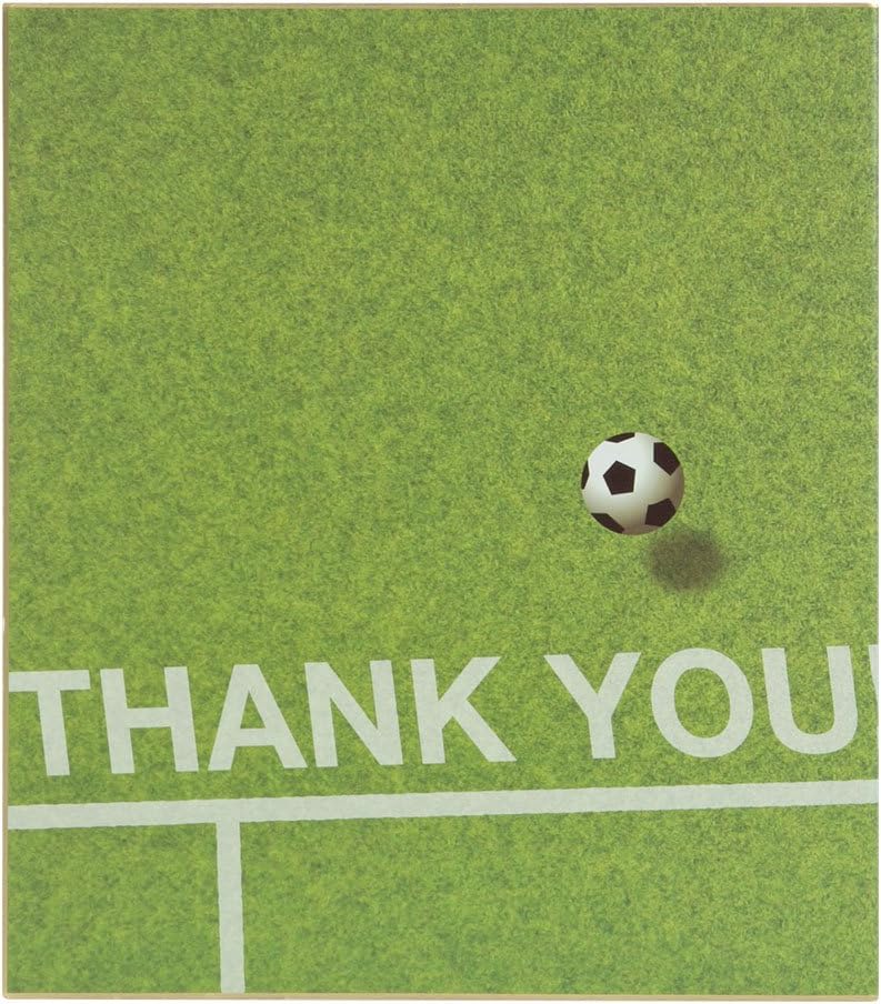 Midori 33167006 Colored Paper, Bi-Fold, Colored Paper, Soccer Field Pattern