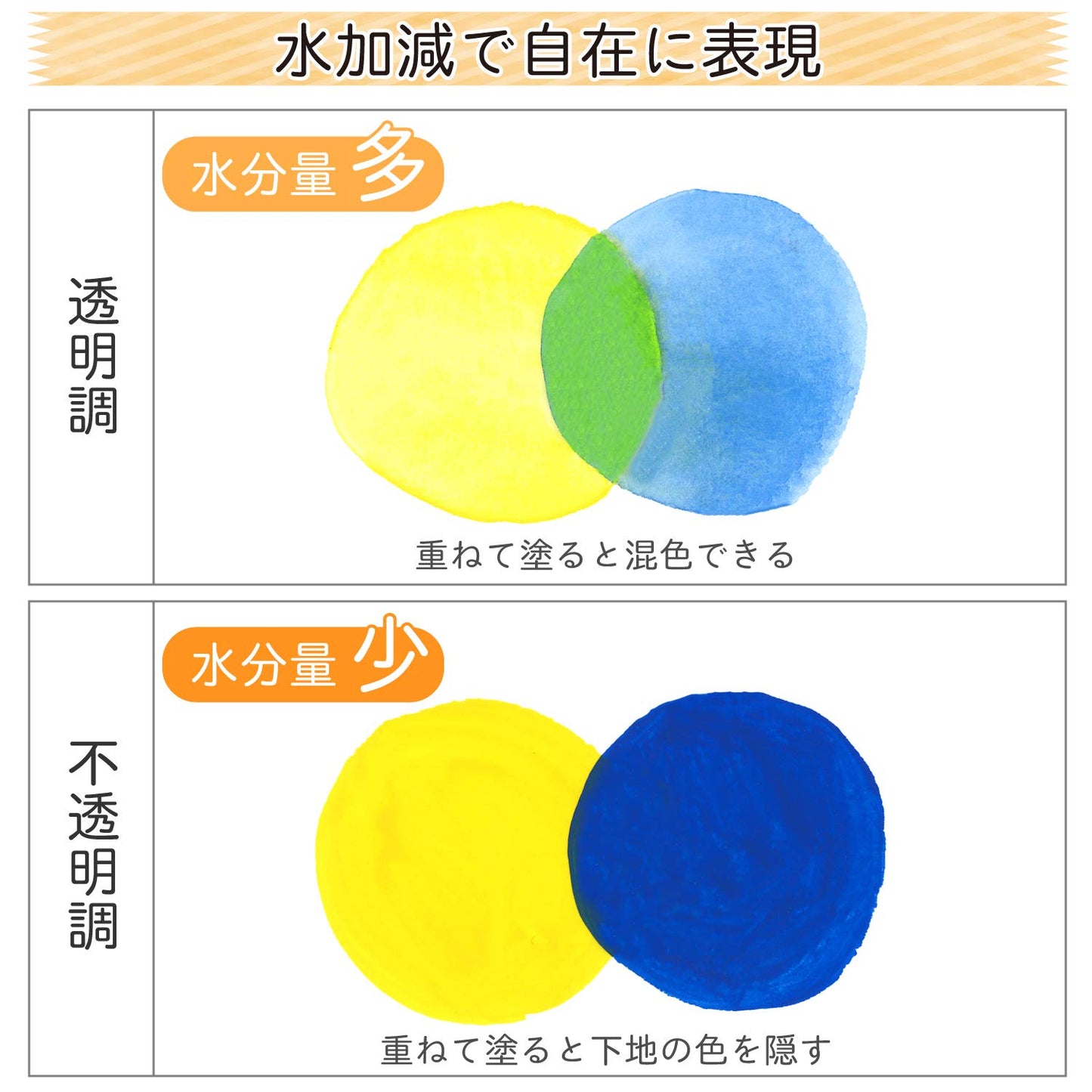 サクラクレパス 24 Color Matte Watercolor (12ml) Poly in Tube (Japan Import)