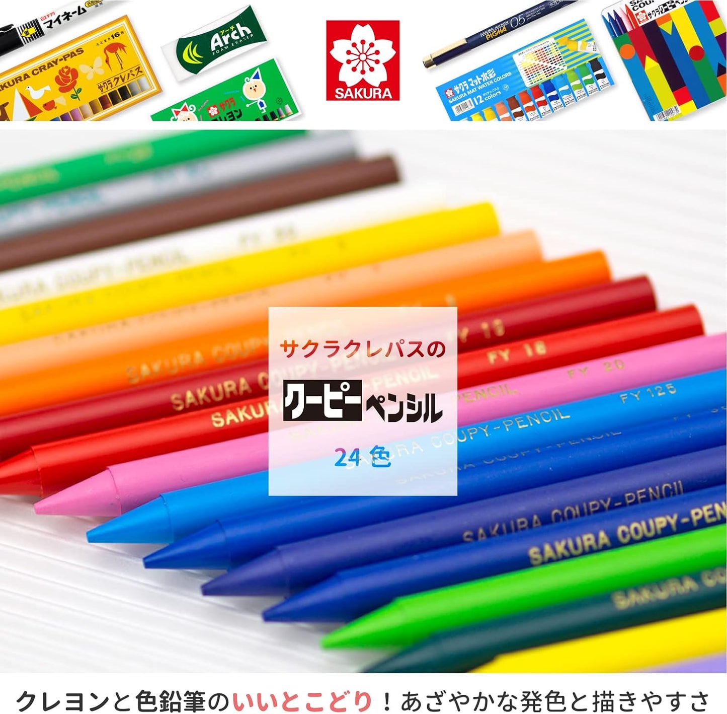 Sakura Color 24 Color Kupi Pencil (Canned) FY24 (Japan Import)