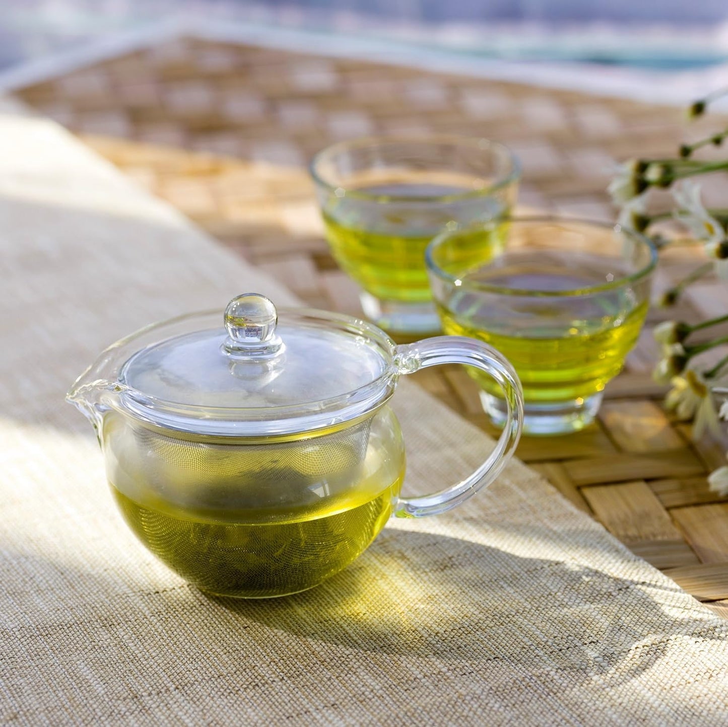 Hario ChaCha Kyusu "Maru" Tea Pot, 300ml