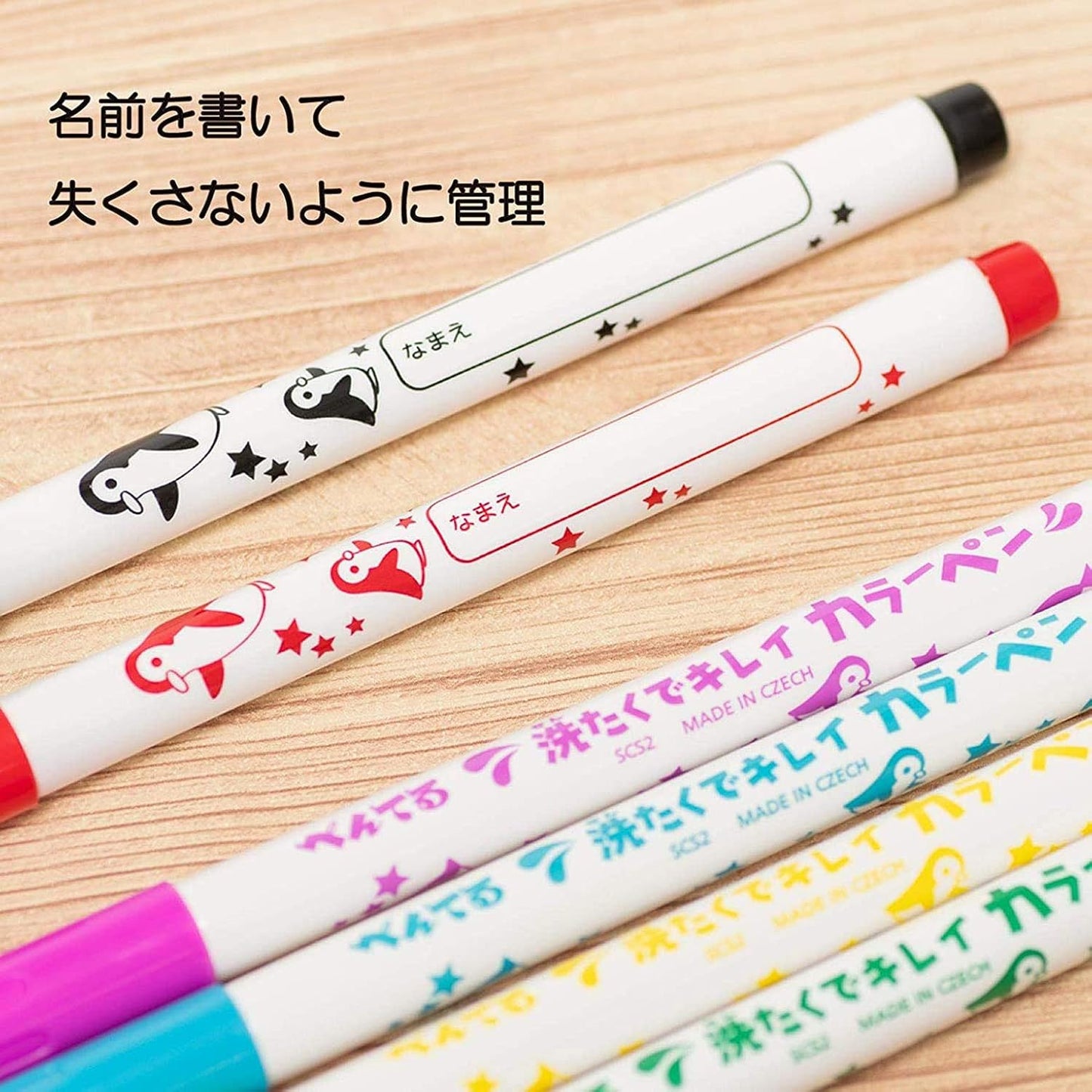 Pentel Washable Ink Color Marker Pen - 6 Color Set