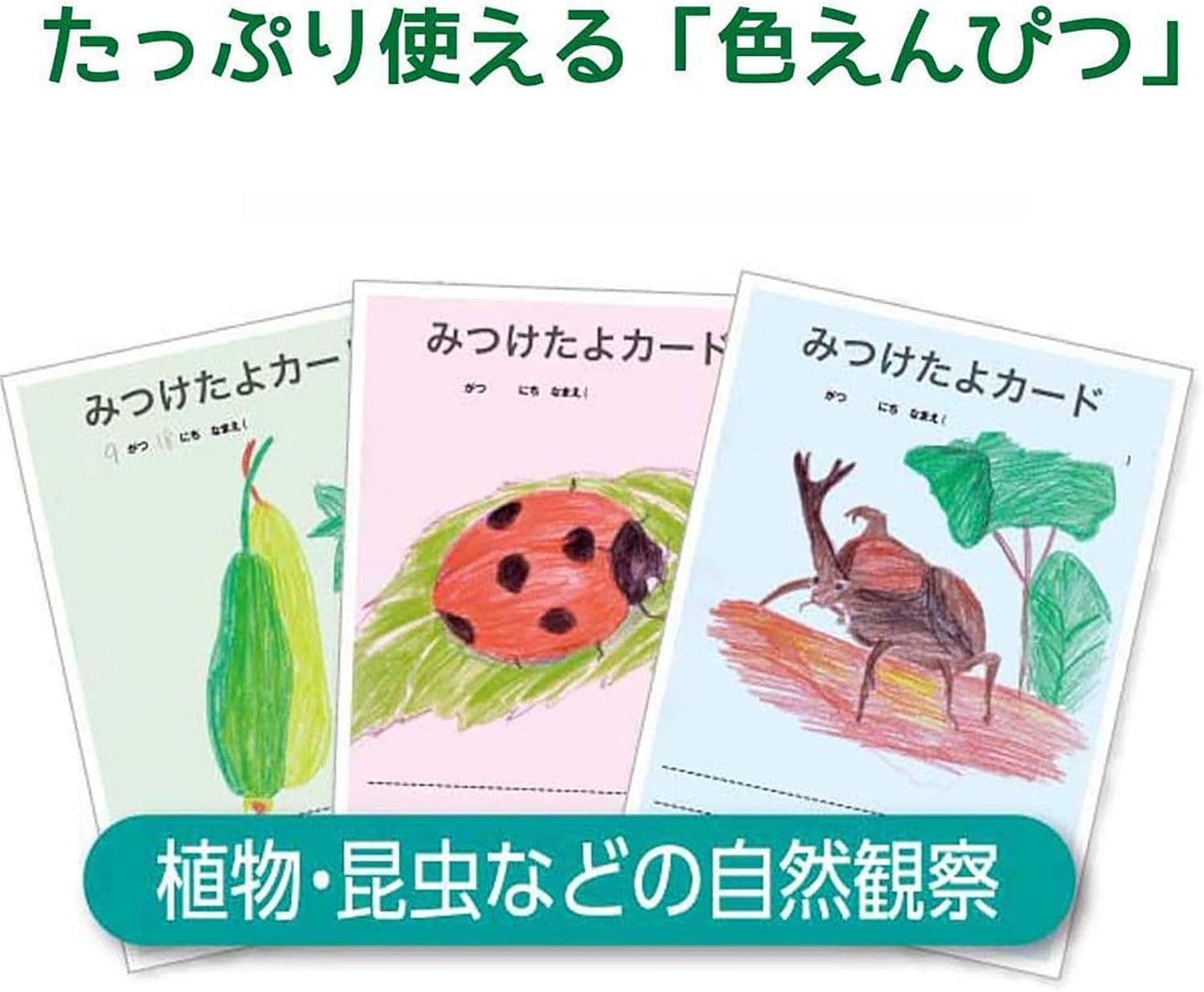 Pentel GC1-15 Crayons Colored Pencils, Pastic, 15 Colors