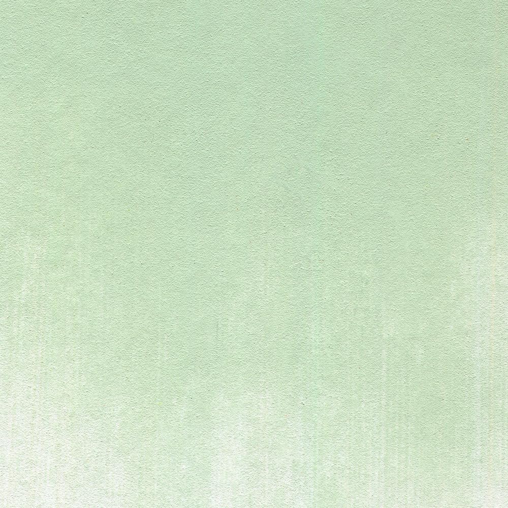 PanPastel Artist Pastels by GOLDEN, Chromium Oxide Green Tint, 2.44??� / 62mm Pan Diameter, Professional Artist Pastels, Unique Pan Format (cake-like)