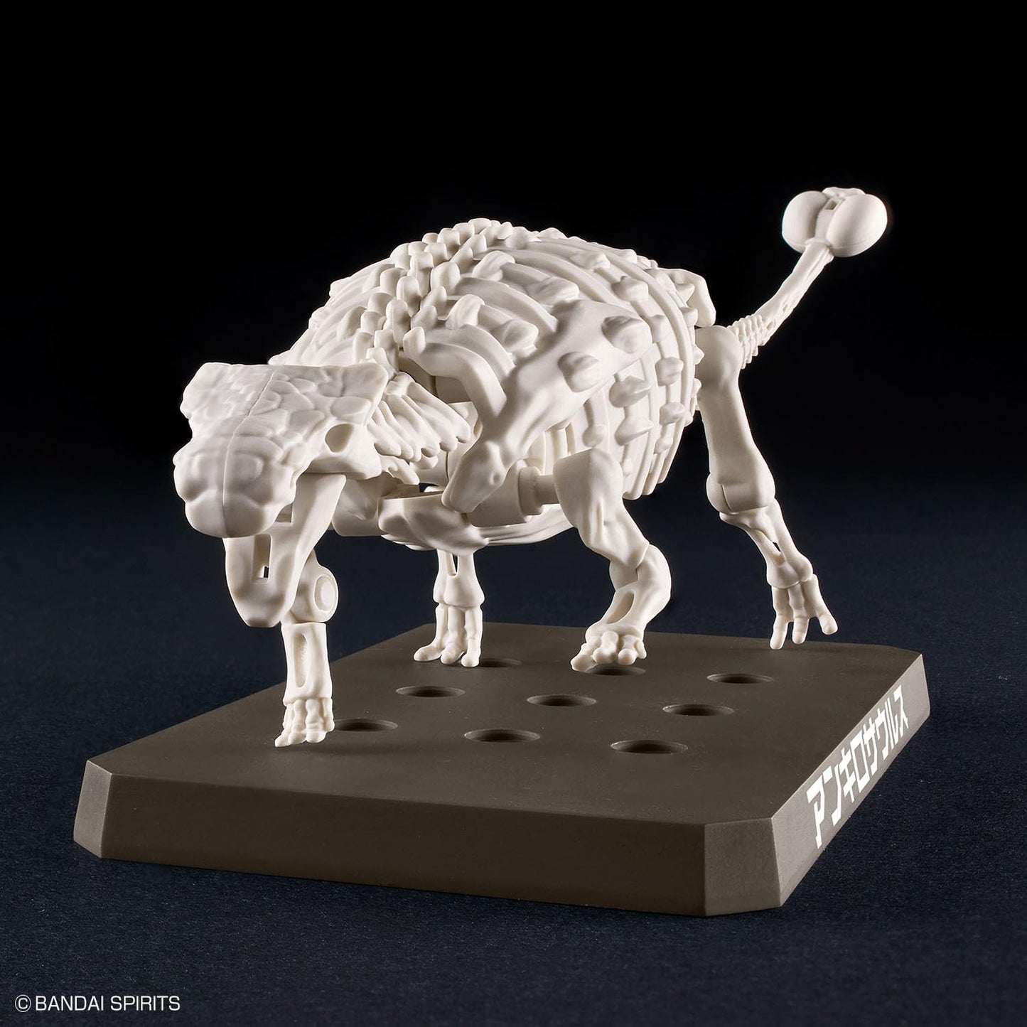 Bandai Hobby - Plannosaurus - #06 Ankylosaurus Dinosaur Model Kit