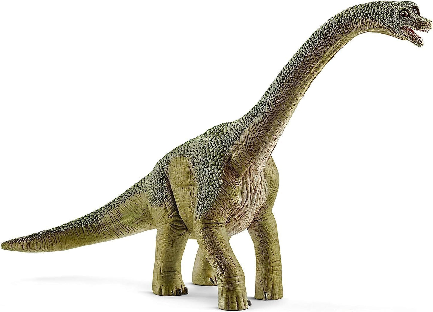 schleich DINOSAURS ??? Brachiosaurus, Detailed and Durable Dinosaur Toy, Educational and Fun Brachiosaurus Toy for Boys and Girls Ages 4+, Green