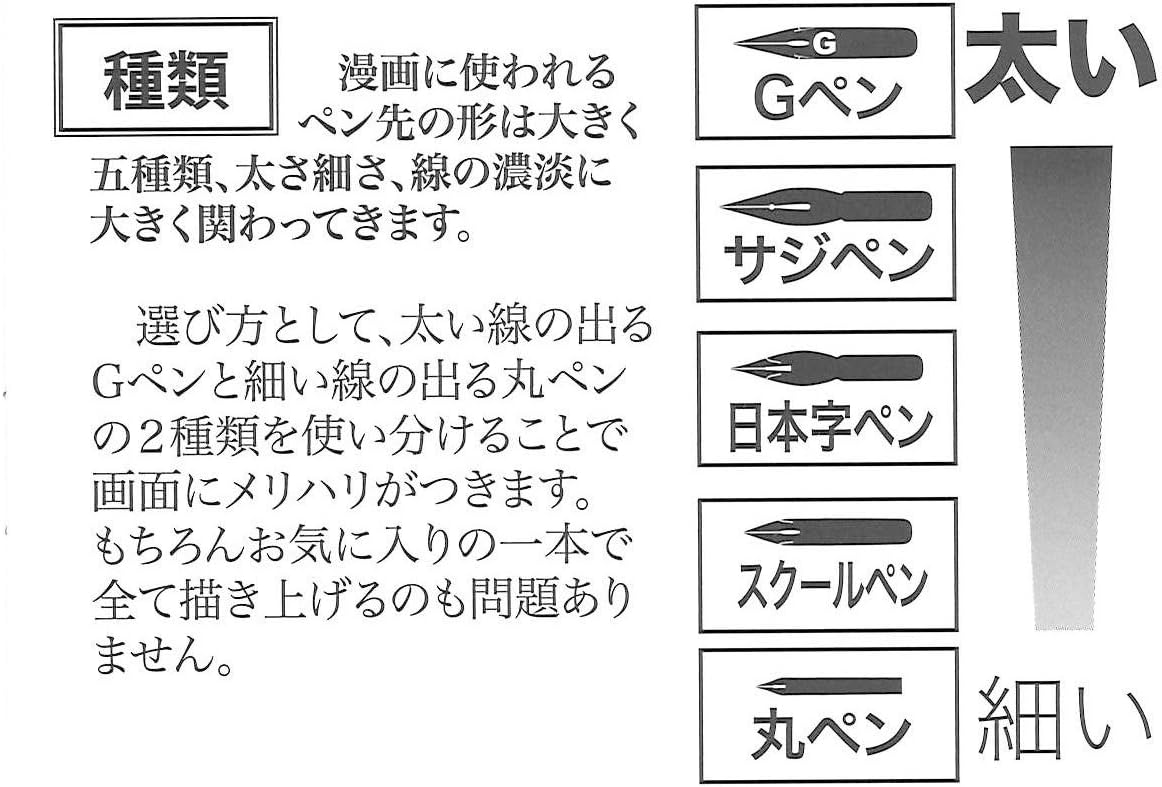 Tachikawa Pin Seisakusho Nikko NG-10 Nib G Pen, Pack of 10