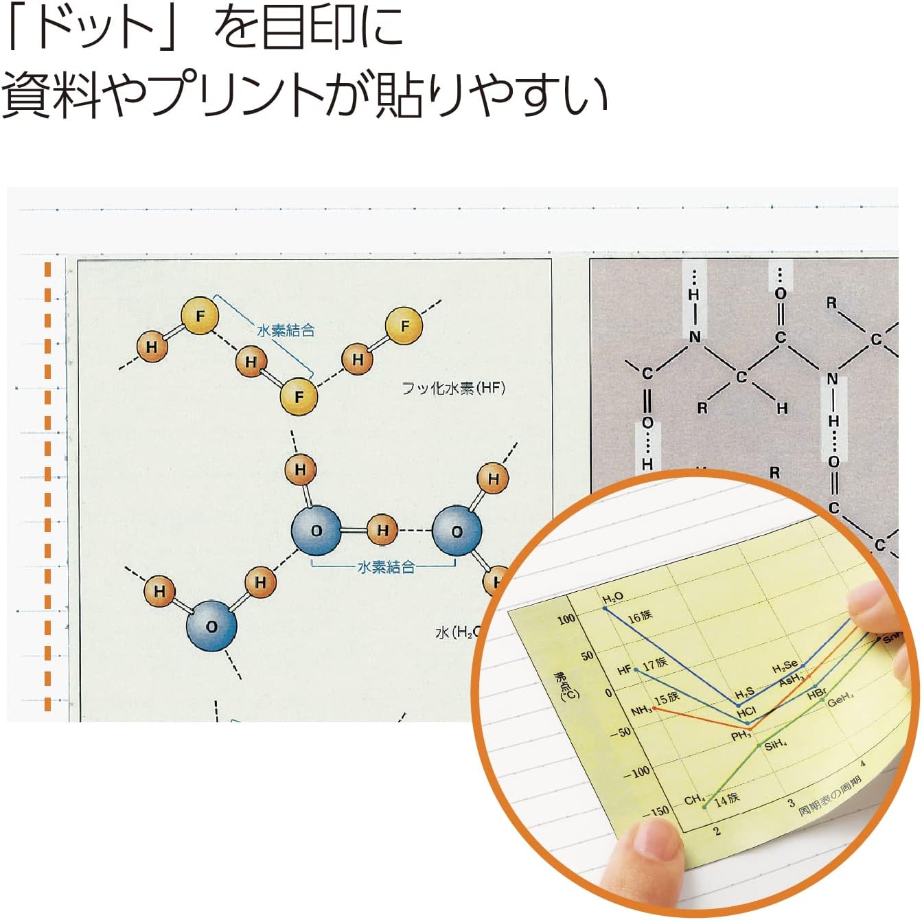KOKUYO Campus T115ATN B5 A Double Ring Ruled Notebook - 40 Sheets