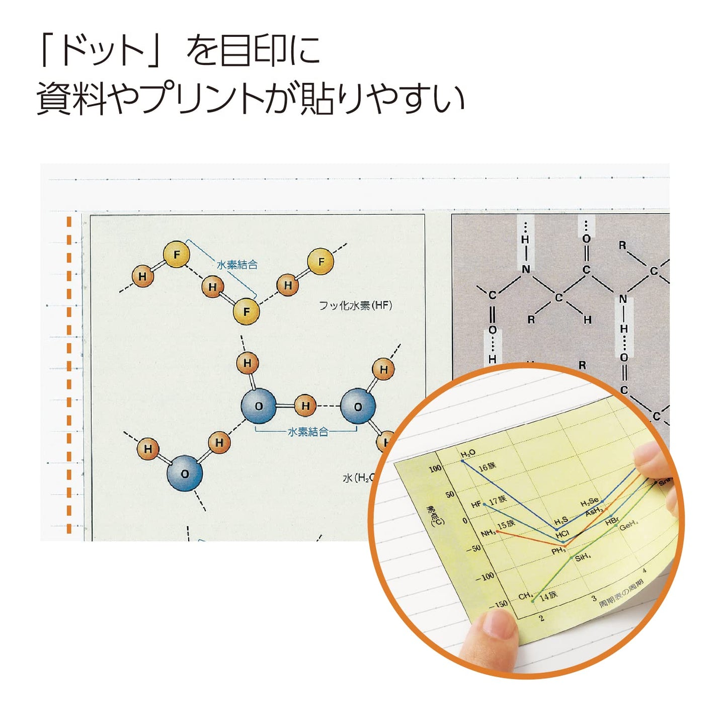 Kokuyo Campus Twin Ring Notebook - A5 - Dotted 6 mm Rule - 50 Sheets