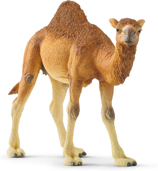 Schleich Wild Life Realistic Dromedary Camel Figurine - Authentic and Highly Detailed Wild Animal Toy, Durable for Education and Fun Play, Perfect for Boys and Girls, Ages 3+, Multicolor, 3.9 inch