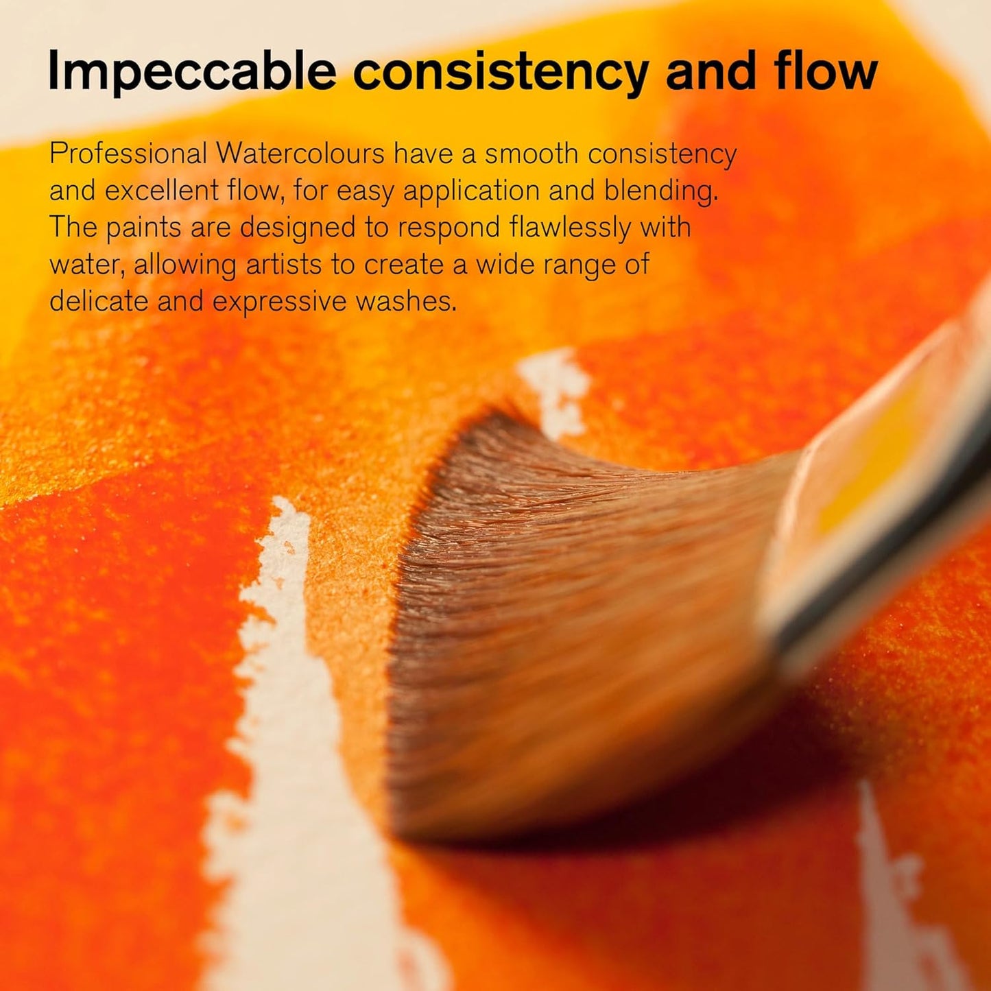 Winsor & Newton Professional Watercolor Paint Set, Black Box Set, 12 Half Pan