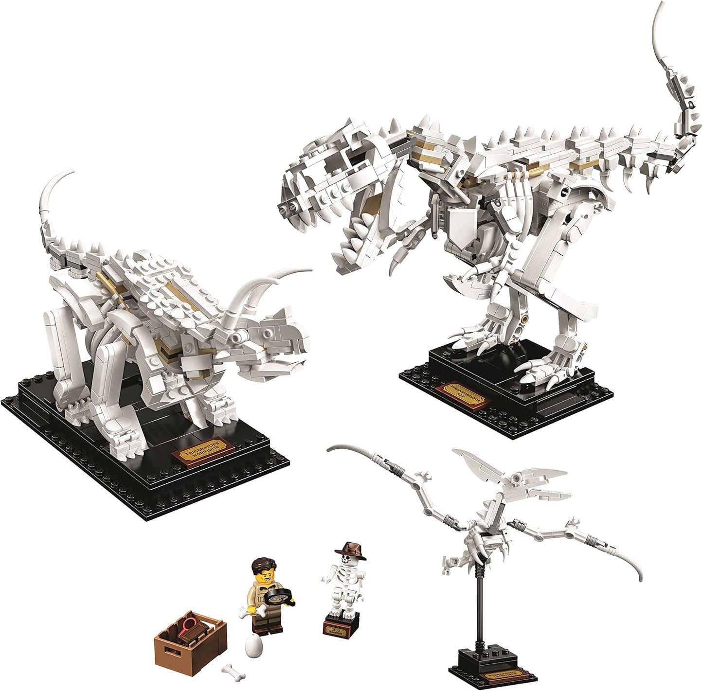 LEGO Ideas Dinosaur Fossils Collector's Model 21320 Natural History Museum Display;Building Toy