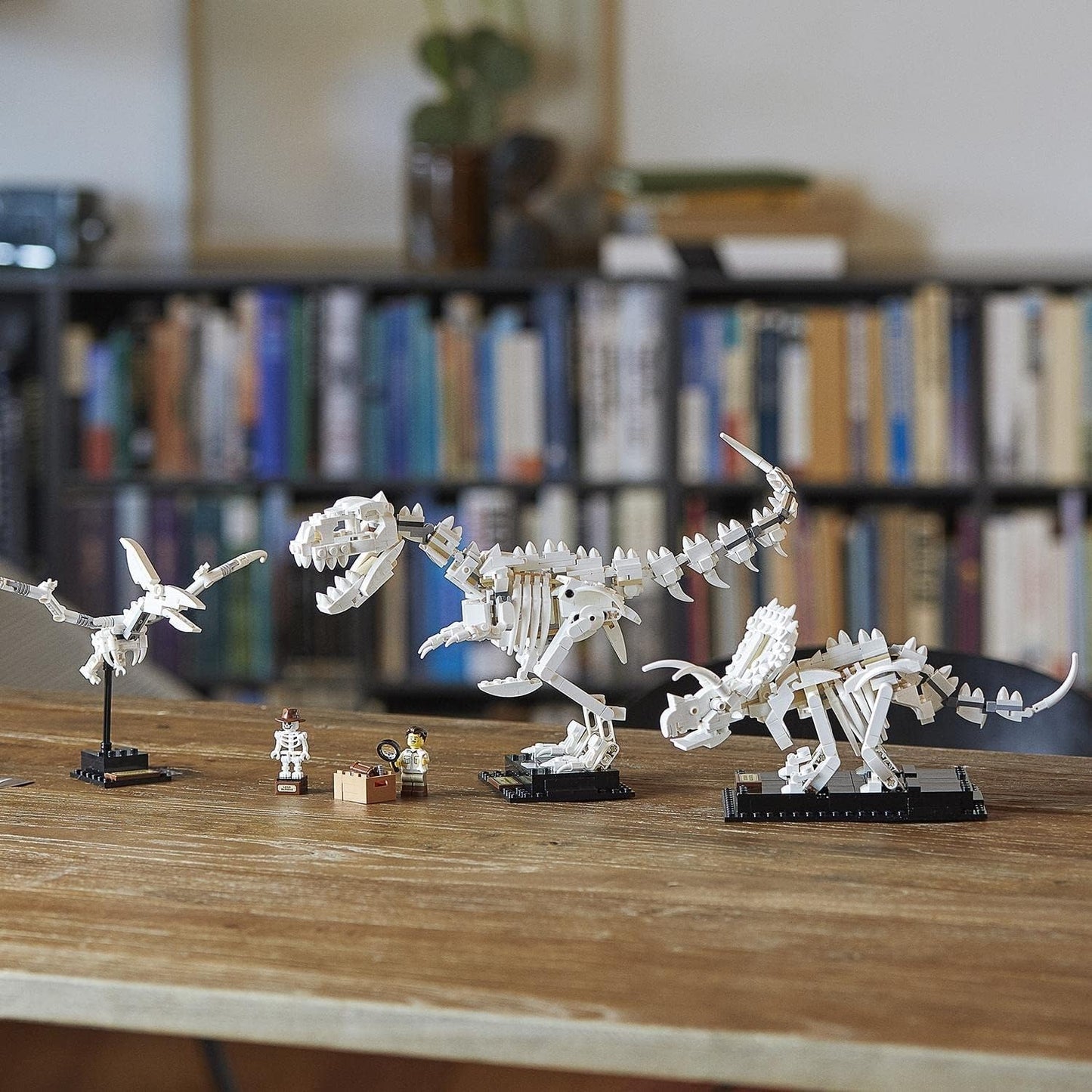 LEGO Ideas Dinosaur Fossils Collector's Model 21320 Natural History Museum Display;Building Toy